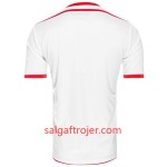 Tunesien Fodboldtrøjer Hjemmebanesæt VM 2018